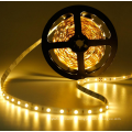 Double bande blanche 5050 led strip